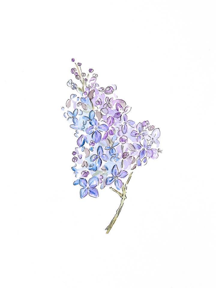 Lilac: Card for wholesale by Callie A Design