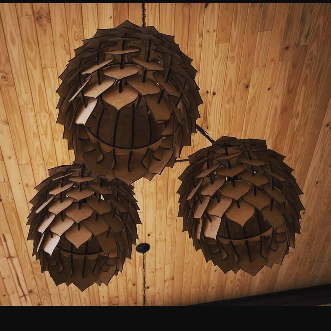 Botanical Boys – wholesale Chandelier/hanging light – Protea Lights3