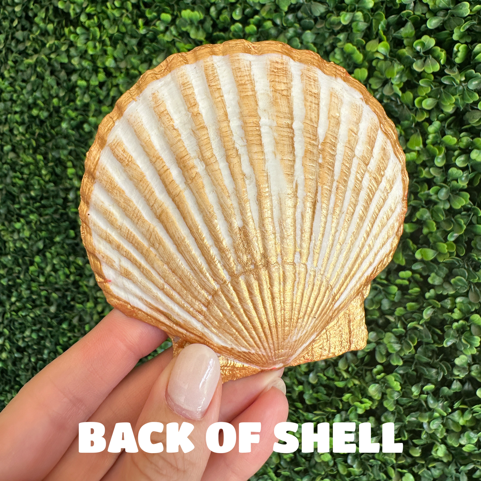 Traci's Beads - Wholesale Jewelry Dish - Sage Floral Shell1