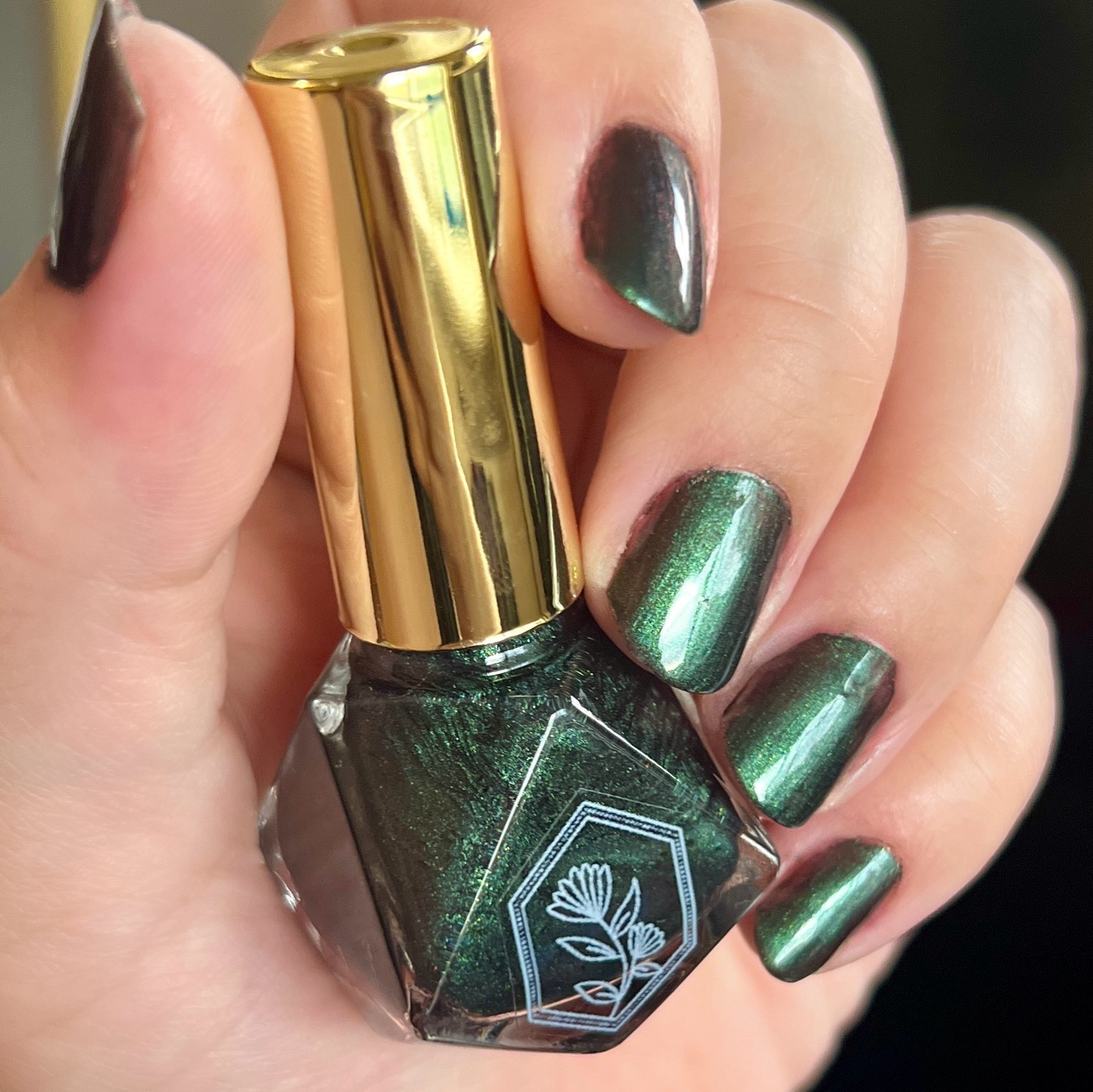 Palafoxia Beauty - Wholesale Nail Polish - Wilderness - Nail Polish3