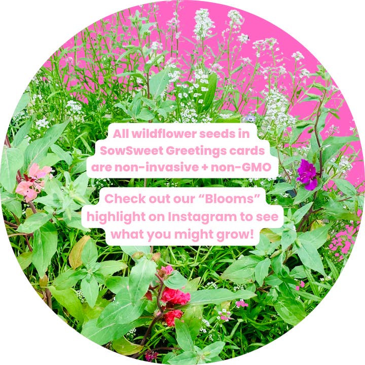 SowSweet Greetings Inc – wholesale Tackkort – Pressade blommor - Tack
