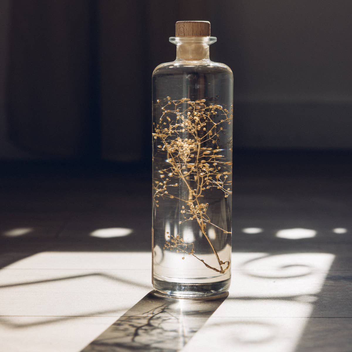 Theophile Berthon - Vente Plante - L'Herbarium Gypsophile Or - plante immergée12