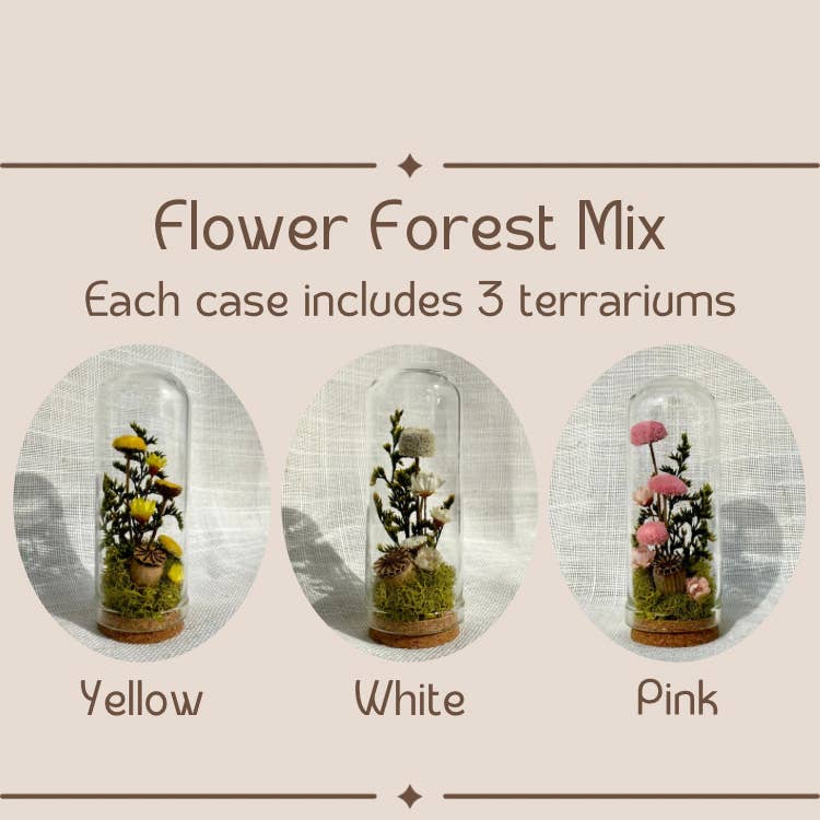 CA Studios - Wholesale Terrarium - Flower Forest Mix Mini Cloche Terrarium w. Dried Florals1