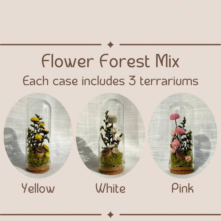 CA Studios - Wholesale Terrarium - Flower Forest Mix Mini Cloche Terrarium w. Dried Florals1
