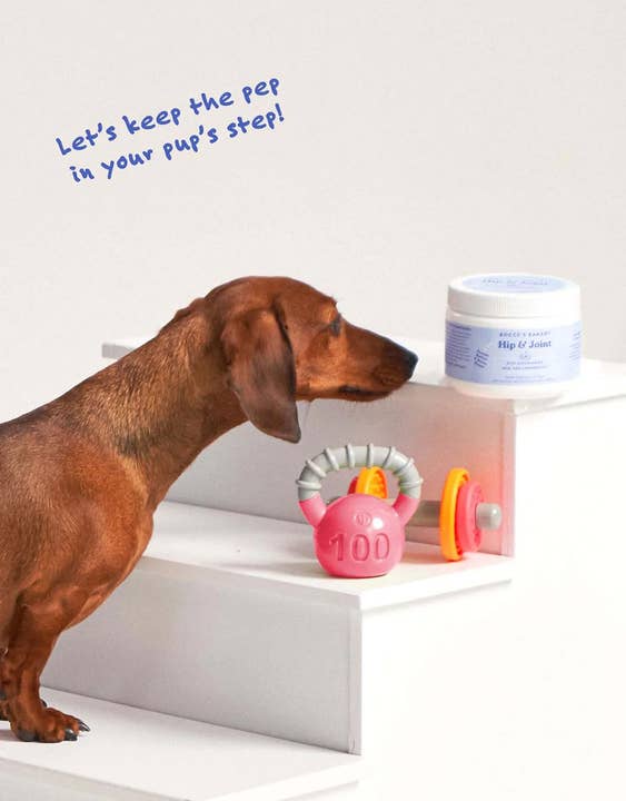 Pet Palette Distribution - Wholesale Pet Supplement - Dog - Bocce's Bakery Hip & Joint Soft Chew Dog Supplement 60 Count
