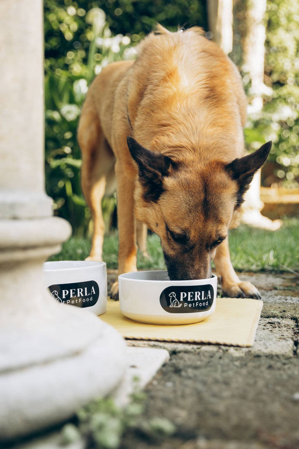 Perla PetFood - Wholesale Pet Treats - Dog - Sensitive Adult Dog Kibble - Free-range Duck.4