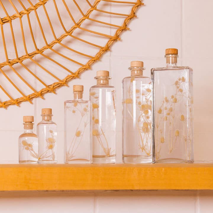 L'Herbarium Lille hvid tør tistel - nedsænket plante for engroshandel hos Theophile Berthon