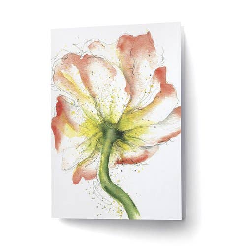 Pavot for wholesale by Scarlett