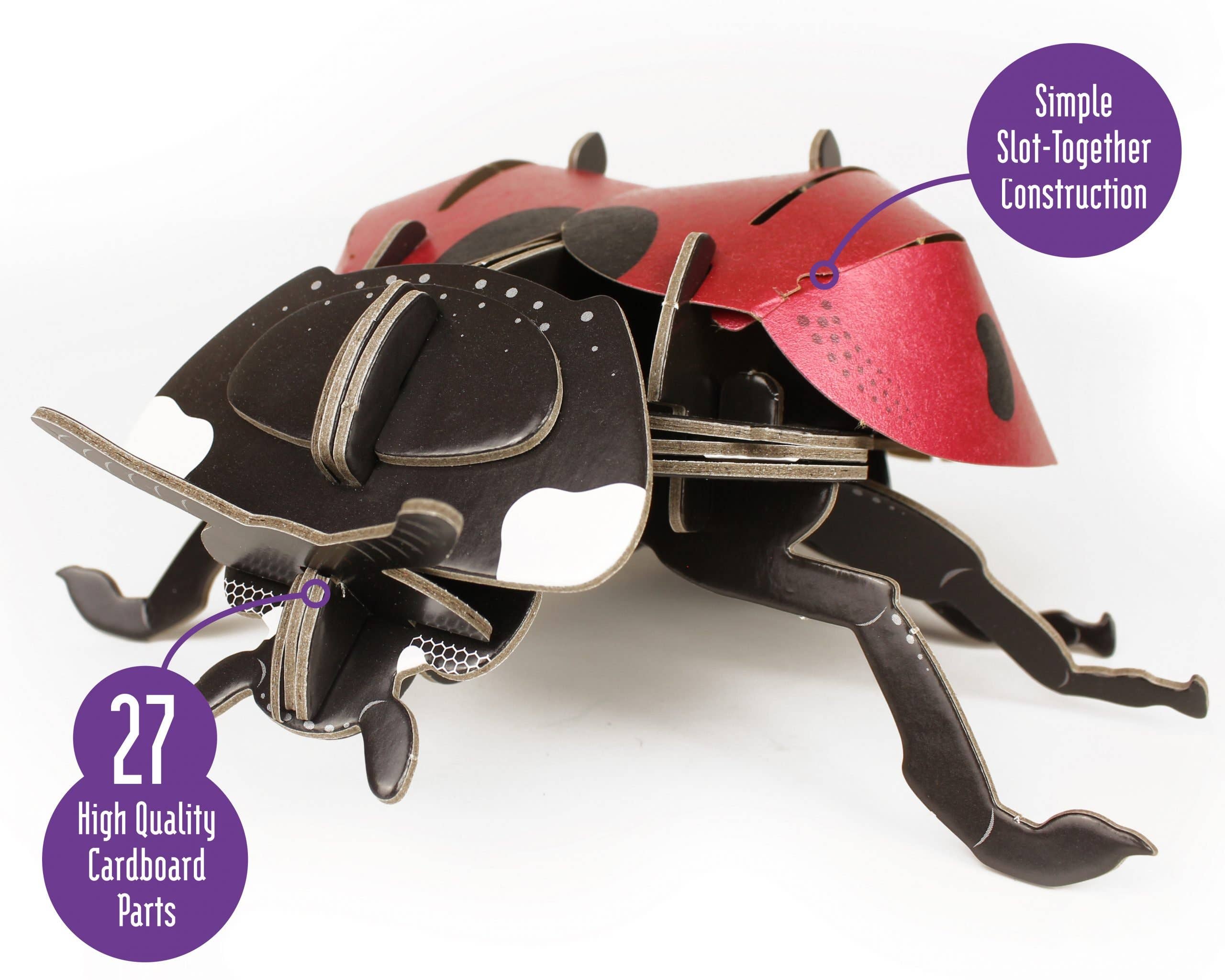 Build Your Own - Wholesale DIY Craft Kit - Kids - Build Your Own Ladybird - Eco-Friendly Cardboard Craft Kit3