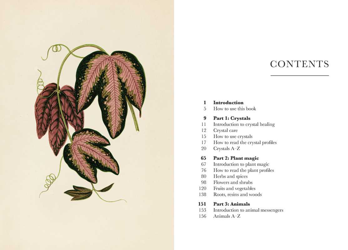 Simon & Schuster - Wholesale Body, Mind & Spirit - A Practical Guide to Magic in Nature by Jessica Lahoud3