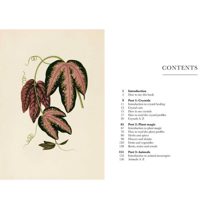 Simon & Schuster - Wholesale Body, Mind & Spirit - A Practical Guide to Magic in Nature by Jessica Lahoud3