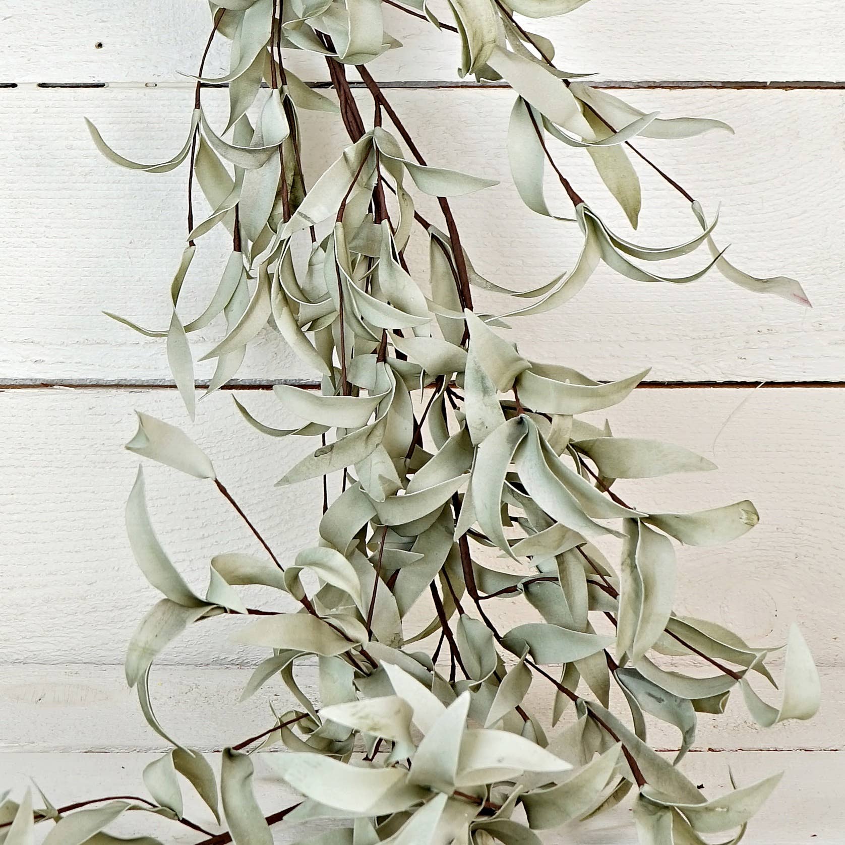 Impressive Enterprises, Inc. - Wholesale Bunting/Garland - ISB72661- 4.5ft Flocked Herb Leaves Garland2