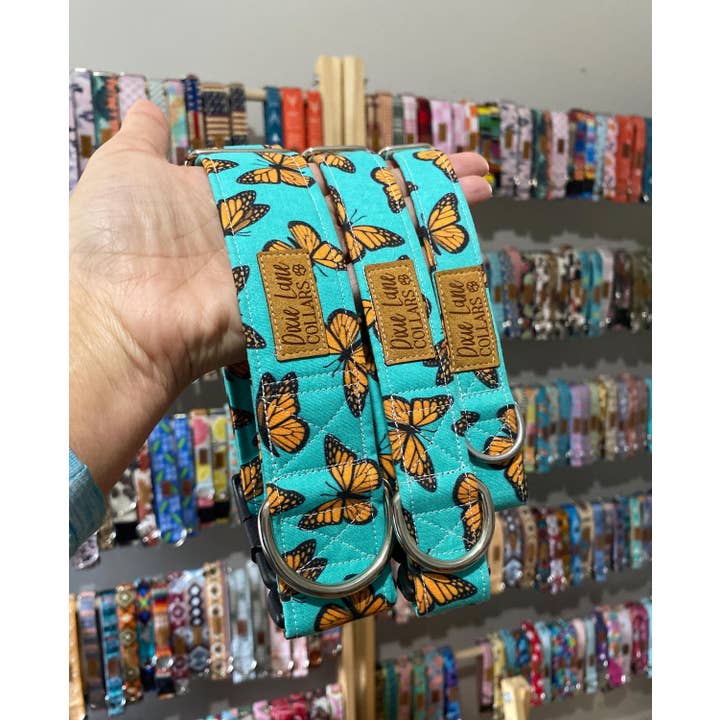 Dixie Lane Collars - Wholesale Pet Collar - Dog - Teal and Orange Butterlies Dog Collar, Dixie Lane Collars3