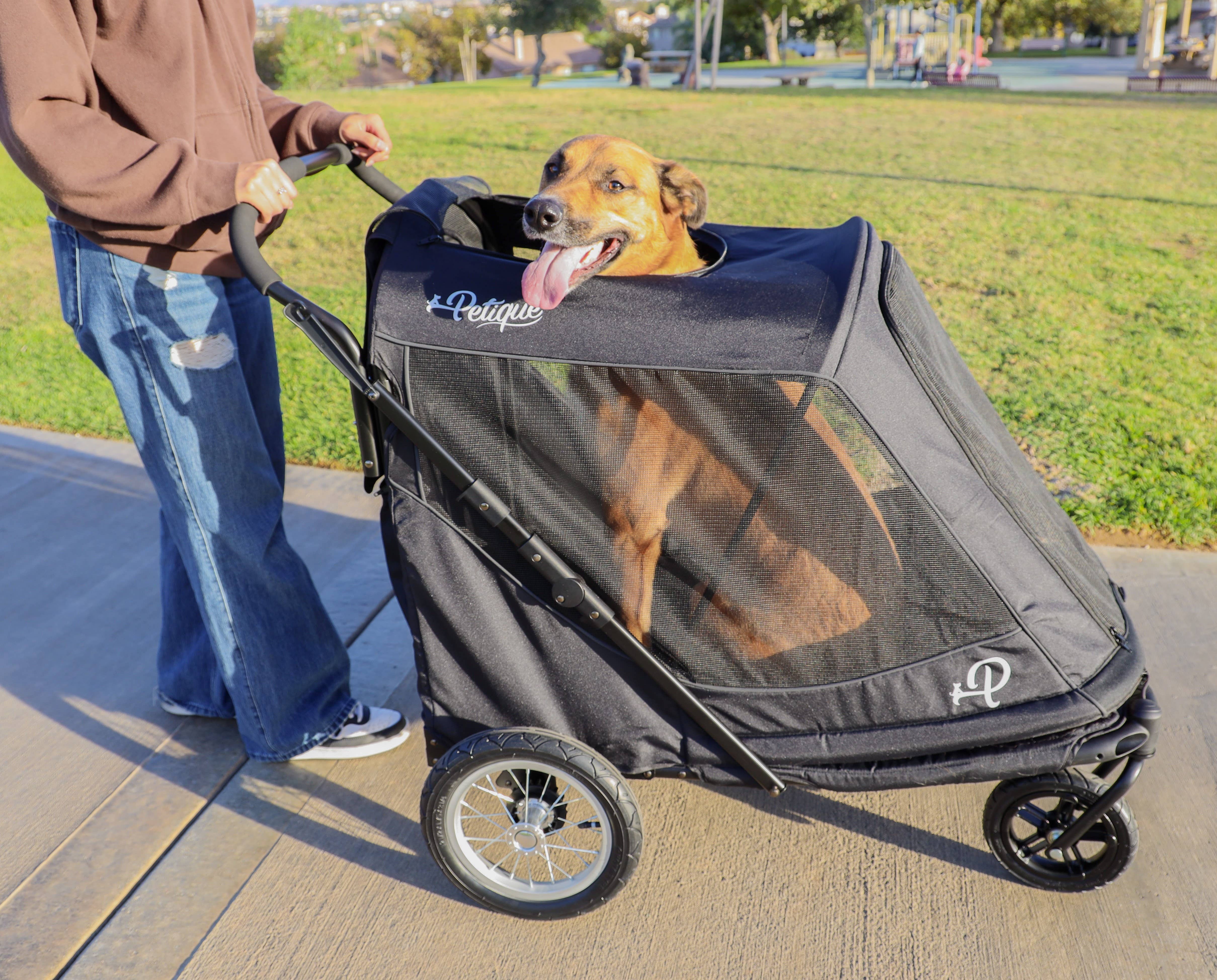 Only An Ocean Europe - Wholesale Pet Carrier - Cat/Dog - Petique Apollo Elite Pet Stroller14
