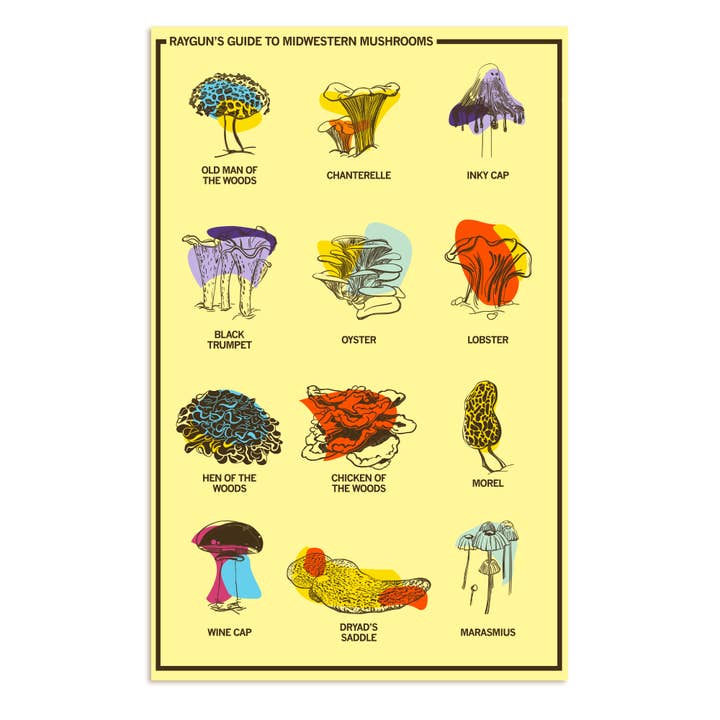 Midwestern Mushrooms Poster for wholesale by RAYGUN