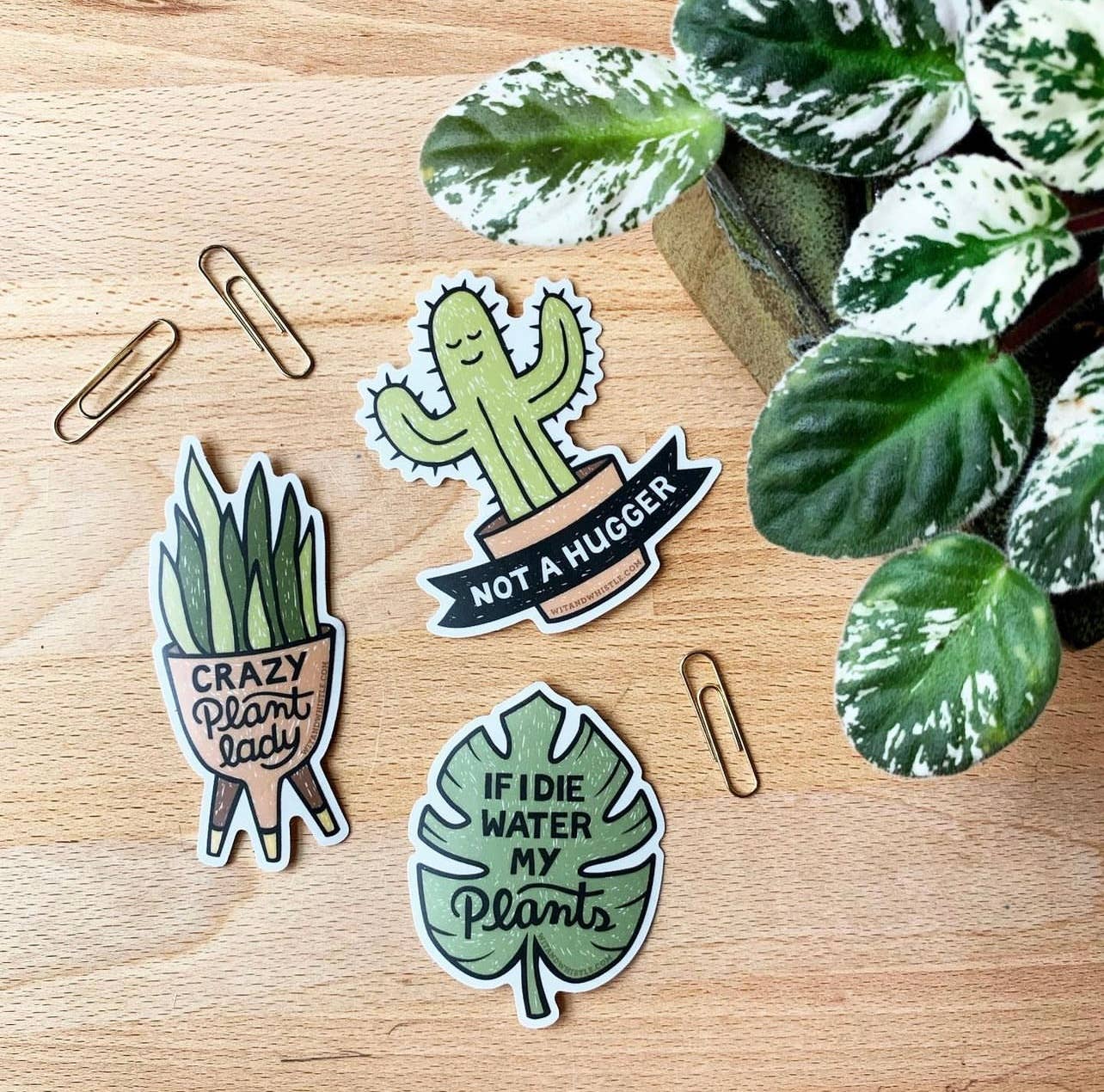 Wit & Whistle - Wholesale Sticker - Sticker - Water My Plants1