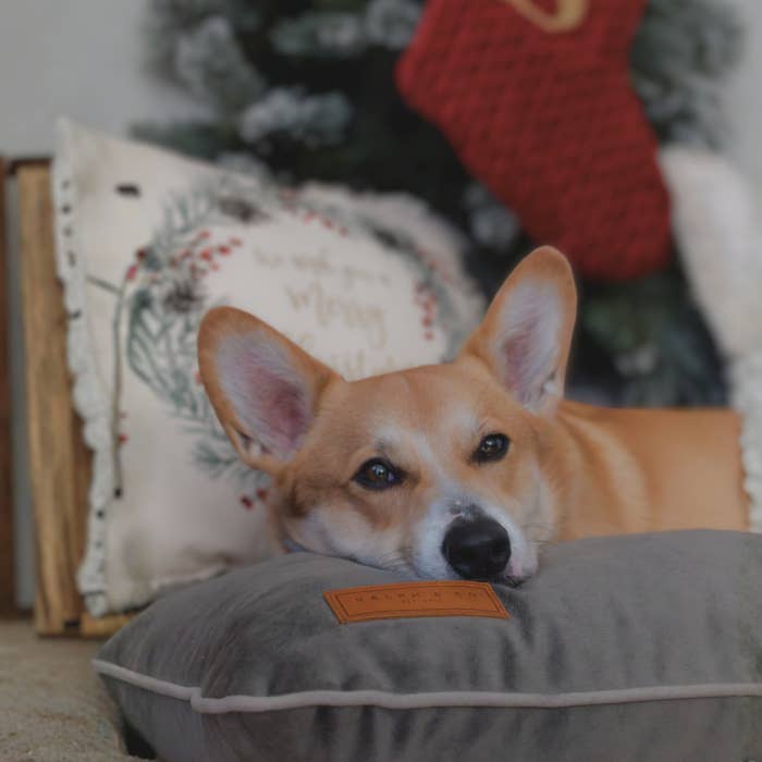 Ralph & Co – wholesale Pet bed – Dog – Luxury Memory Foam Crate Bed With Removable Covers | Grey12