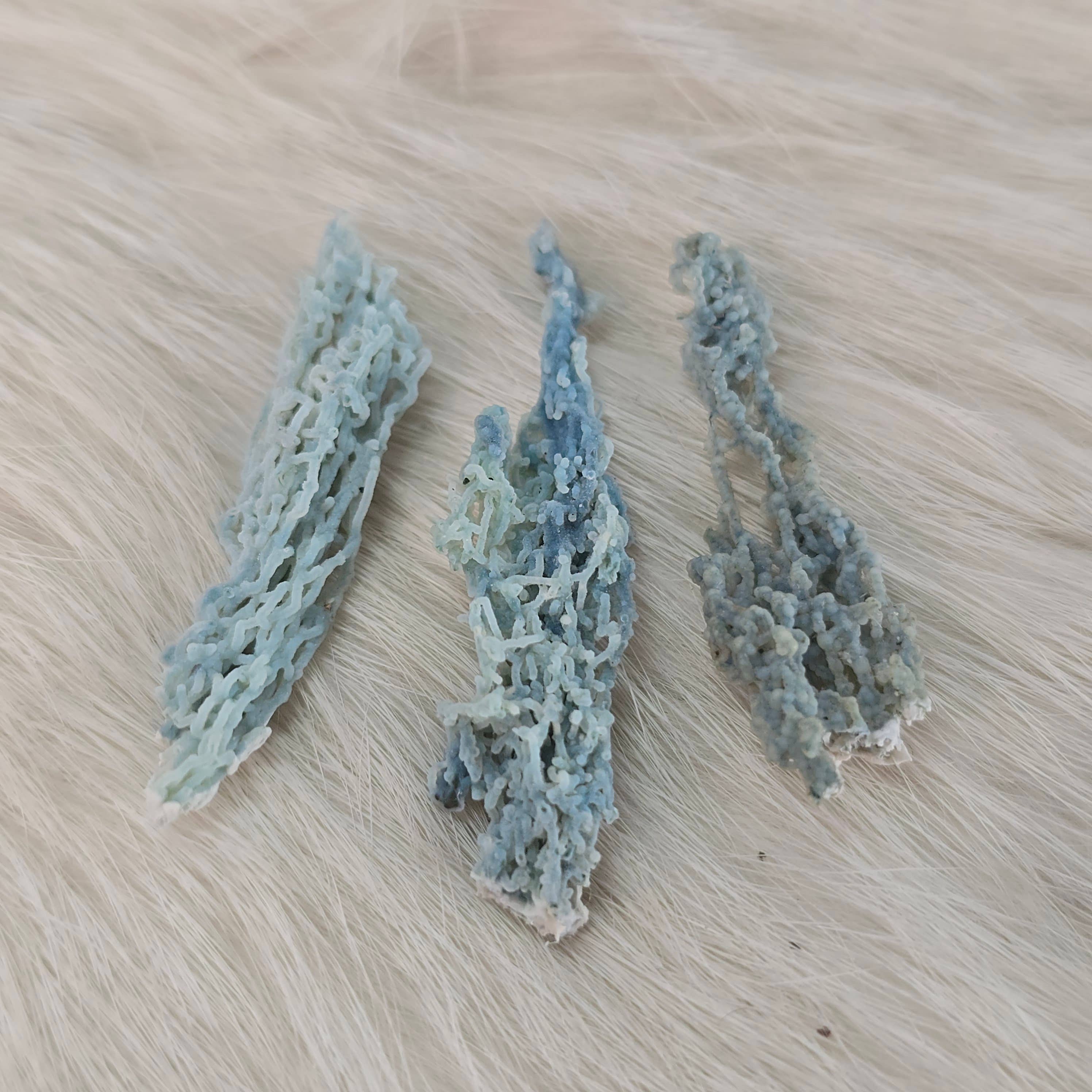 Aquamarine Daydream Wholesale - Wholesale Spiritual Stone/Crystal - 3pc Blue Chalcedony Stalactite ~ Bulk Mineral Specimens0