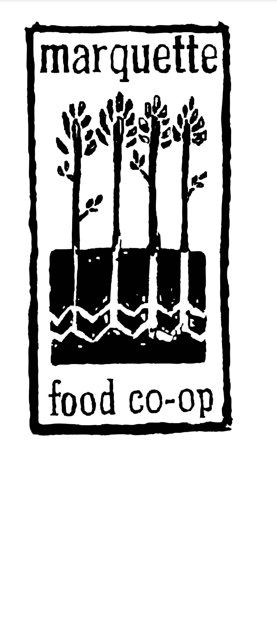 Superior Sweet Water – wholesale Dricksglas och koppar – Anpassad logotyp ölburkglas med lock2