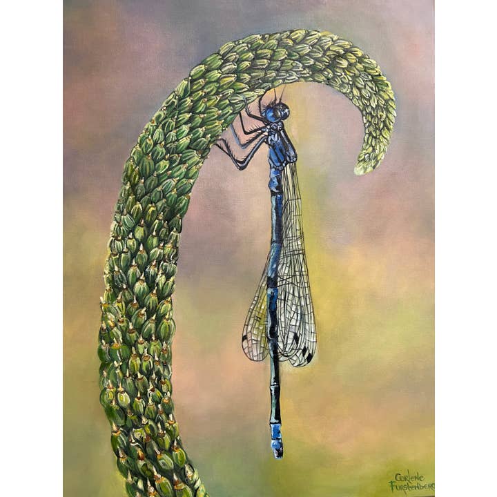 Série La vie d'une bestiole - Libellule pour la vente par Corlene Furstenberg Fine Art