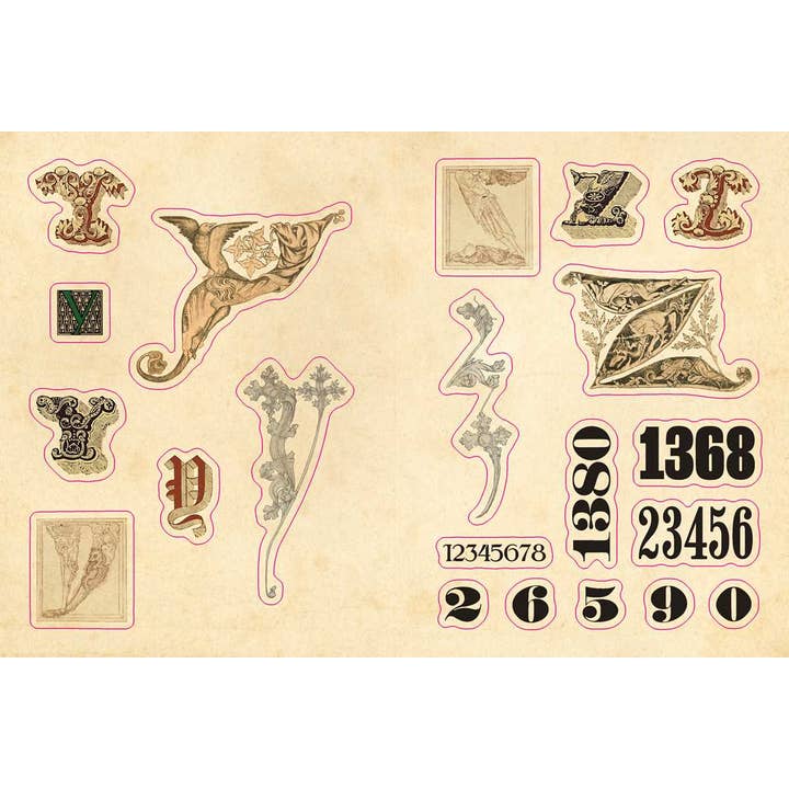 Simon & Schuster - Wholesale Display Book - Cabinet of Curiosities by Smithsonian Institution5