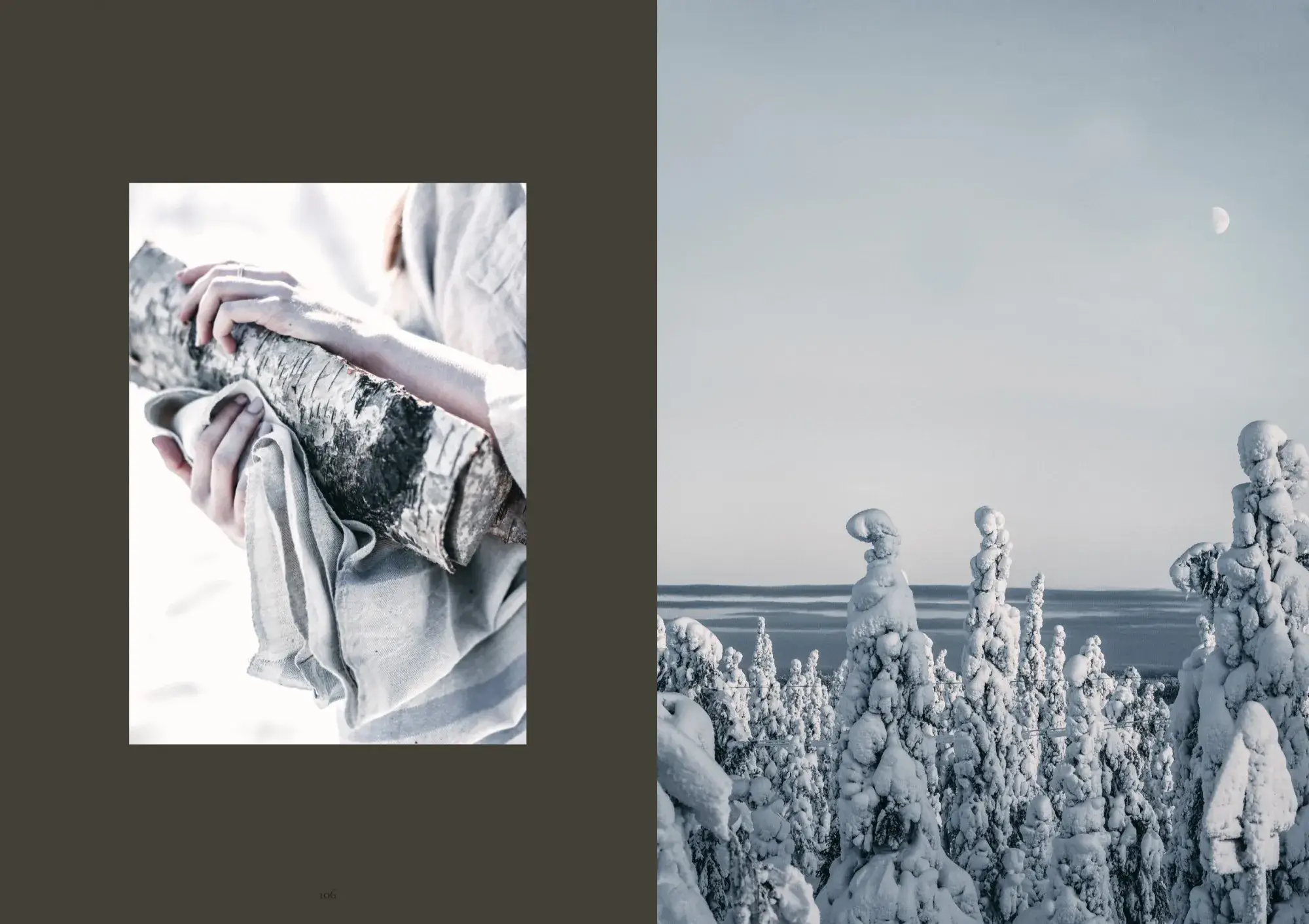 Cozy Publishing - Wholesale Body, Mind & Spirit Book - SAUNA13