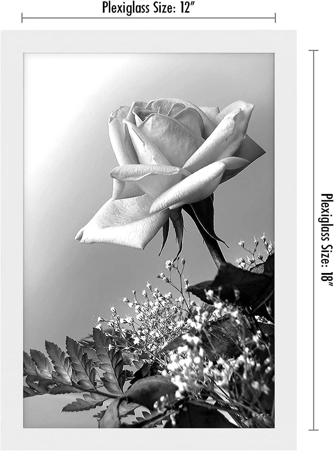 Americanflat - Wholesale Picture Frame - Americanflat Poster Frame with Wide Molding94