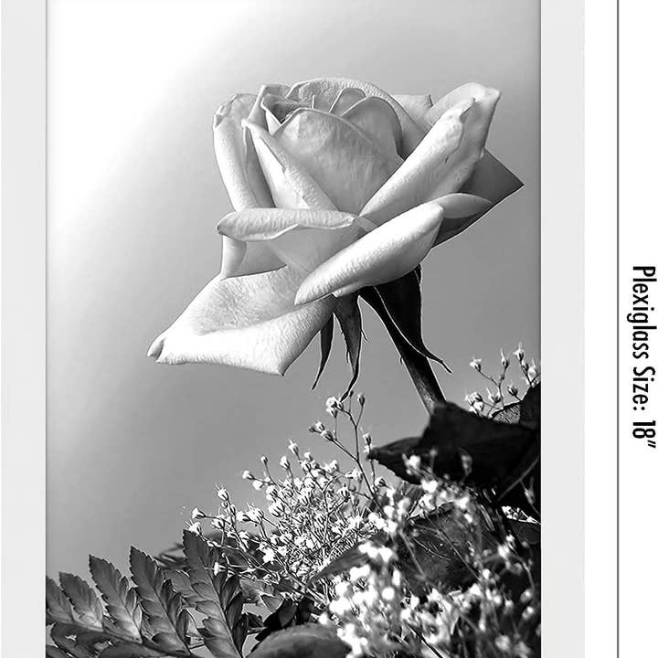 Americanflat - Wholesale Picture Frame - Americanflat Poster Frame with Wide Molding94