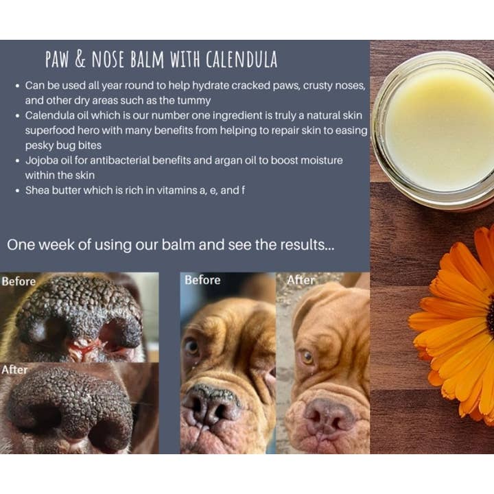 Mountain Garden Botanics - Wholesale Pet Balm - Dog - Calendula Paw and Nose Balm for Dogs