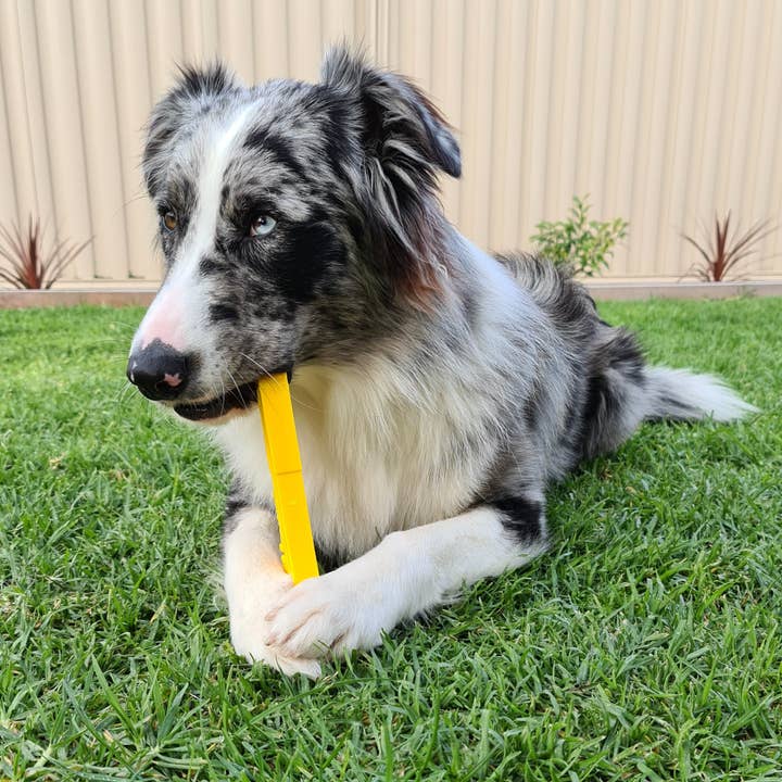 Rover Pet Products - Wholesale Pet chew toy – Dog - Nylon Pipe Wrench (Power Chewers)8