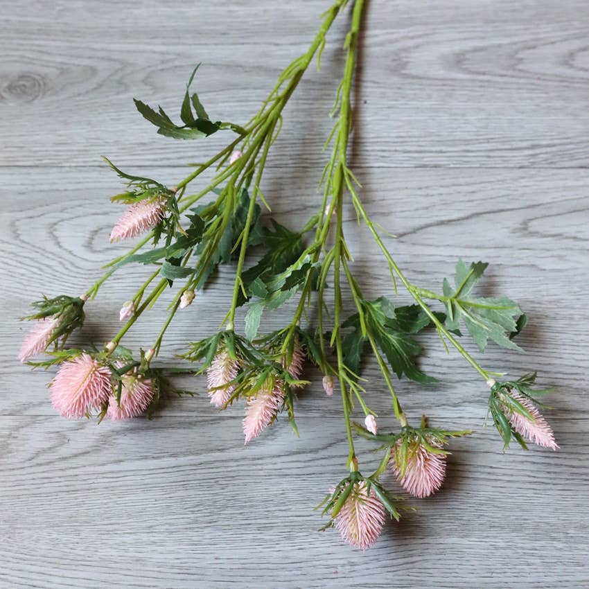 Angel Isabella - Wholesale Artificial Flowers - 26" Artificial Thistle Eryngium Sea Holly-10Flowers 1