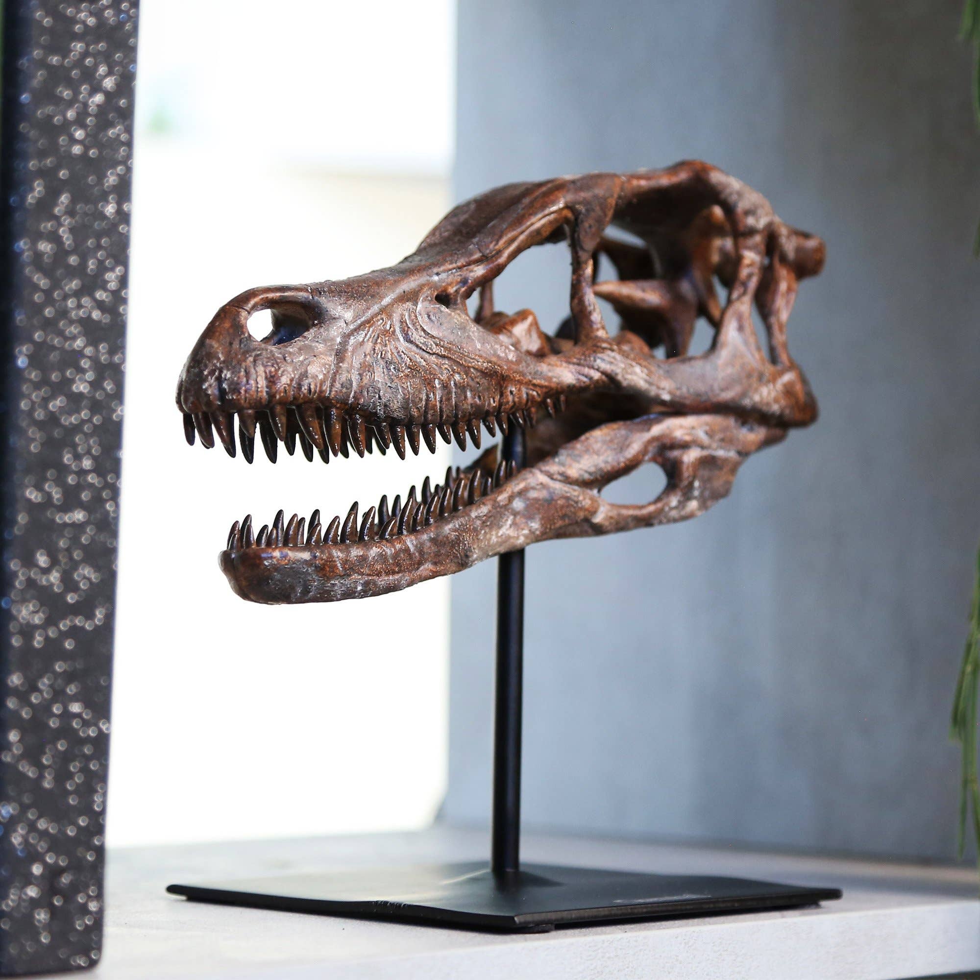 Curated Studio - Wholesale Decorative Tabletop Object - Velociraptor Dinosaur Skull Painted 3D Model Gifts for Him0