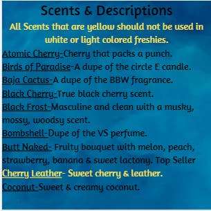 Scent Story Freshies - Wholesale Car Freshener - Unisex - Small Aztec Bull Skull -Stones in horn