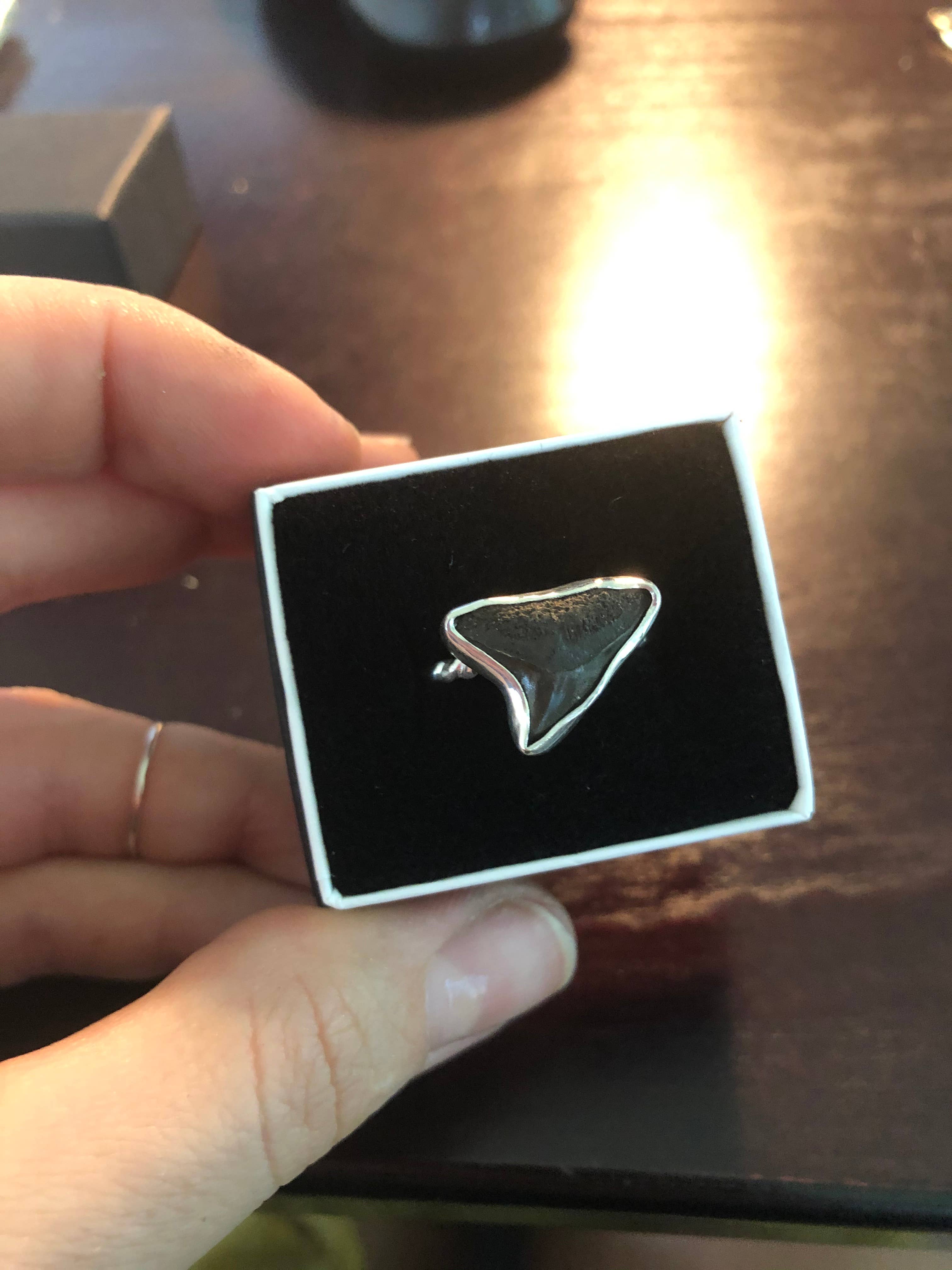 La Soucique Studio Metalsmithing – wholesale Cocktail/statement ring – Floridian Shark Tooth Ring in Sterling Silver1