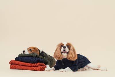 PEHOM - Venta al por mayor Jersey - Perros - Suéter con solapa para mascotas9