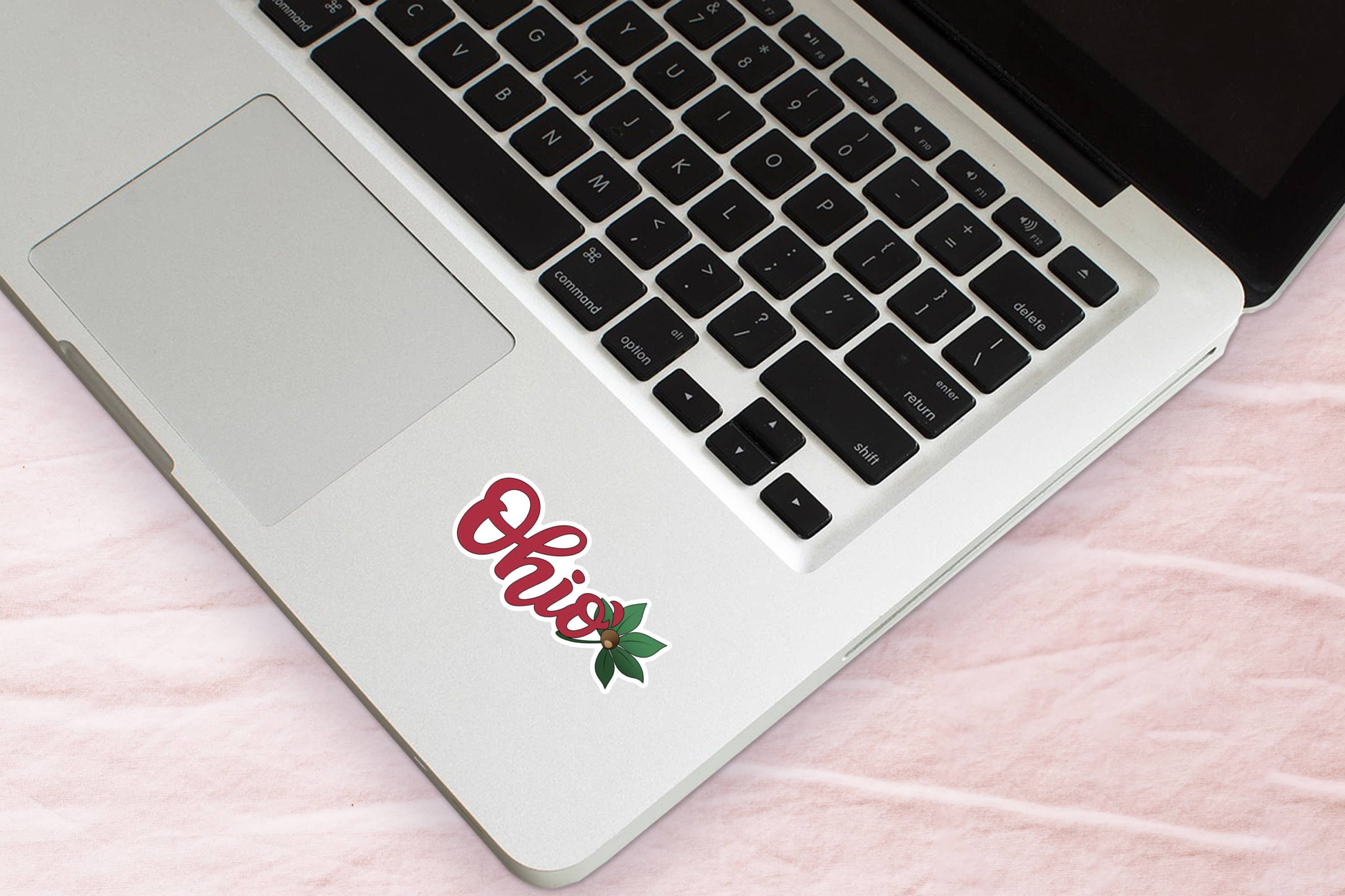 DoubleTake Designs – wholesale Klistermärke – Ohio-skript med Buckeye Leaf klistermärke2