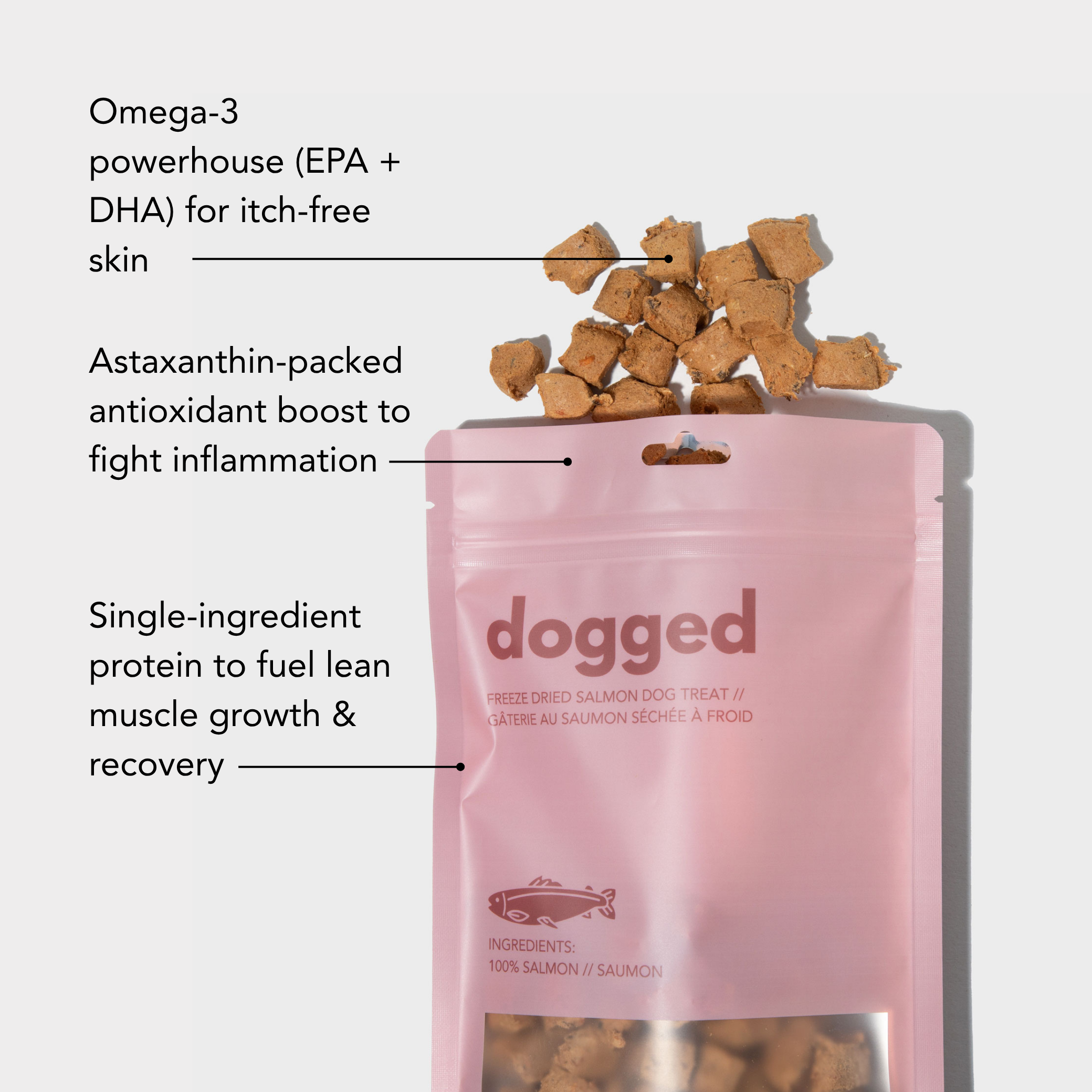 dogged - Wholesale Pet Treats - Dog - freeze dried salmon dog treats1