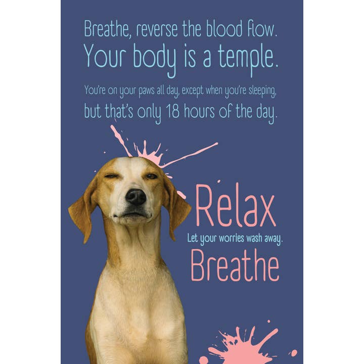 purrPETuallove - Wholesale Everyday Greeting Card - Breathe-Meditate-Yoga