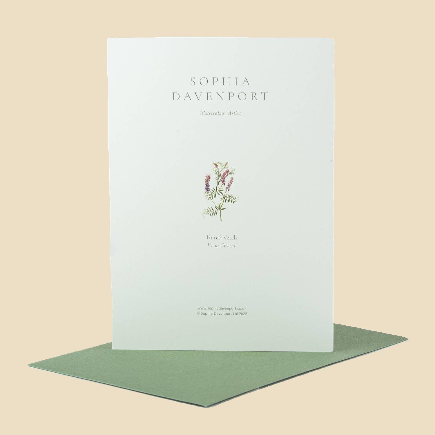Sophia Davenport - Wholesale Everyday Greeting Card - Wildflower Greeting Cards and Notelets49