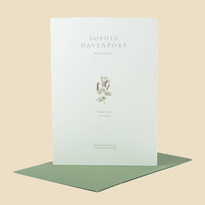 Sophia Davenport - Wholesale Everyday Greeting Card - Wildflower Greeting Cards and Notelets49