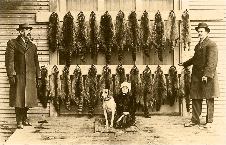 Found Image Press - Wholesale Magnet - Magnet FS-165 Rows of Pelts0