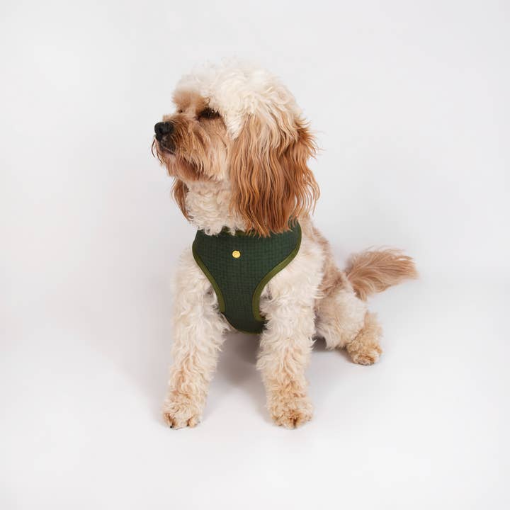 Pata Paw - Venta al por mayor Arnés - Perros - Arnés reversible para mascotas con flores silvestres alpinas y textura en oliva7