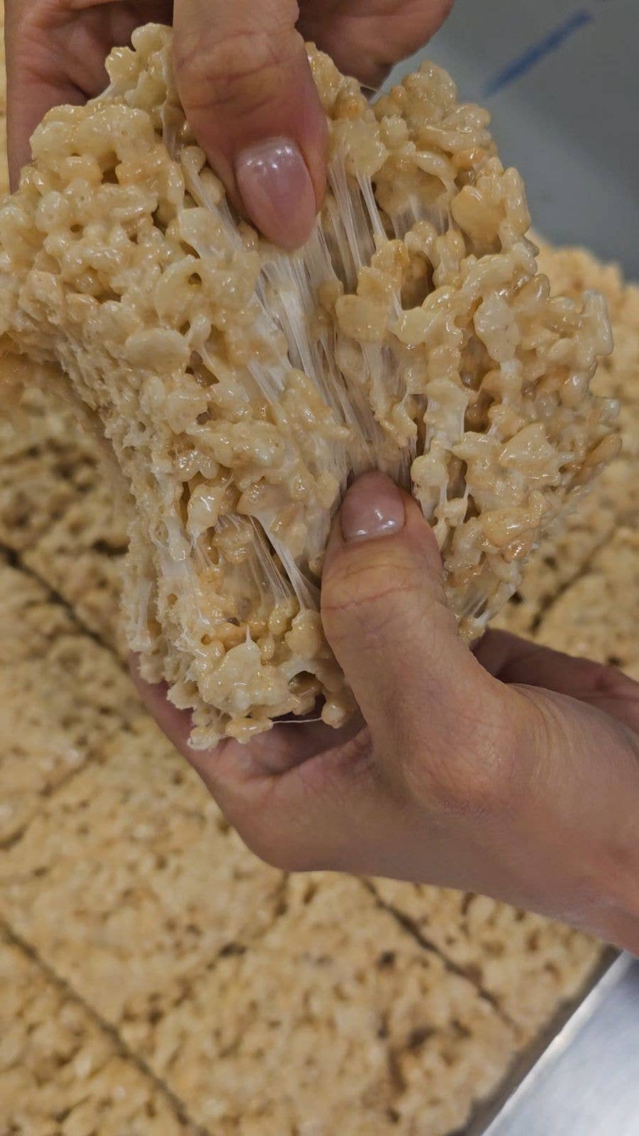 My Big Fat Cookie – wholesale Puffed rice treat – Marshmallowey Treat3