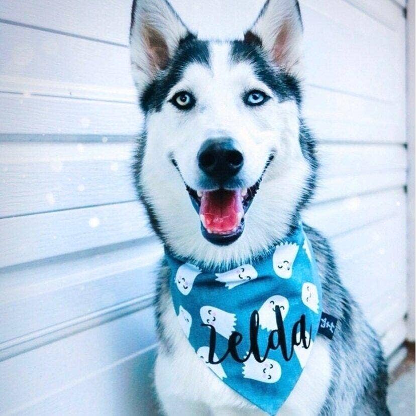 Tails Up, Pup - Wholesale Pet Bandana - Dog - Ghost Dog Bandana - Halloween Dog Bandana1