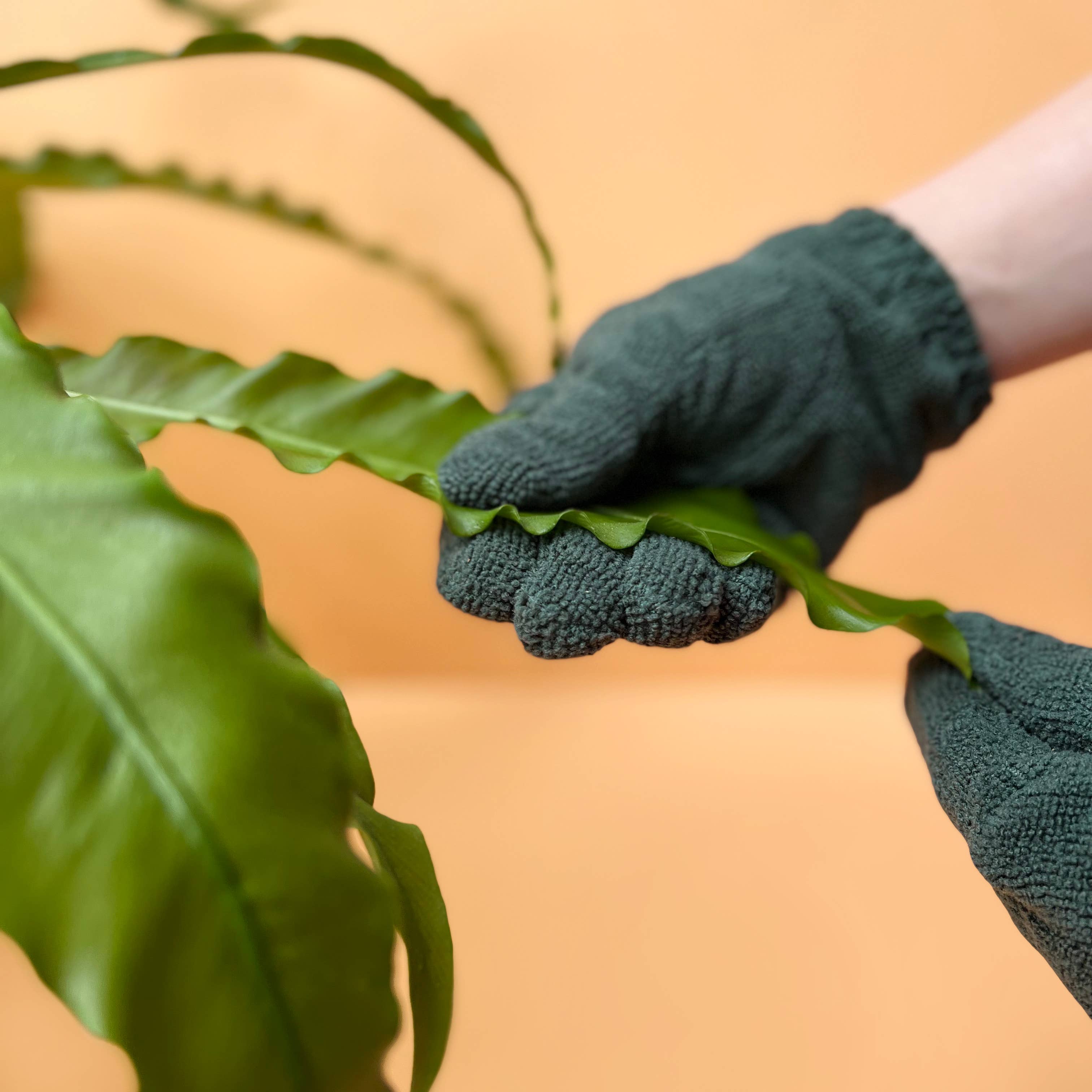 We The Wild Plant Care USA - Wholesale Garden Gloves - Microfiber Leaf Cleaning Gloves - Green6