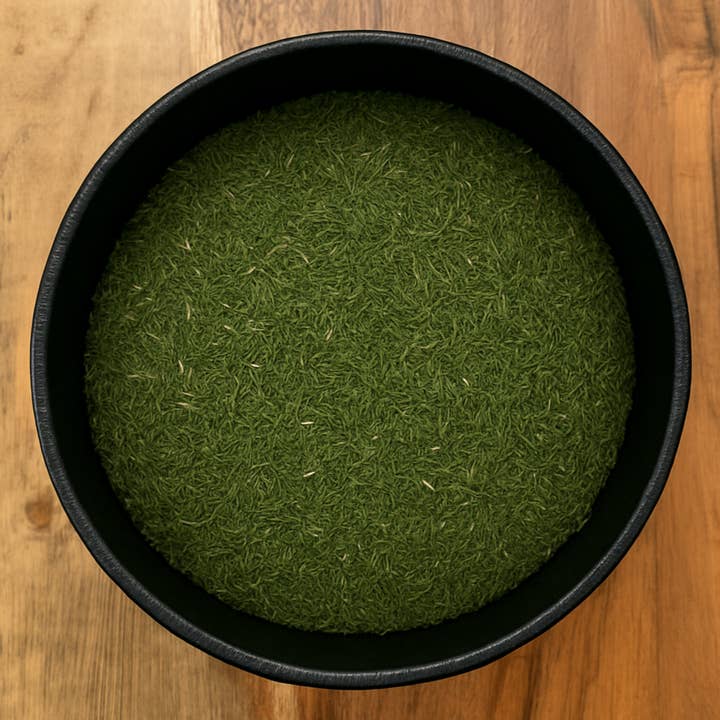 Endro Cortado (Egípcio) (Anethum Graveolens) por atacado de LA Herb