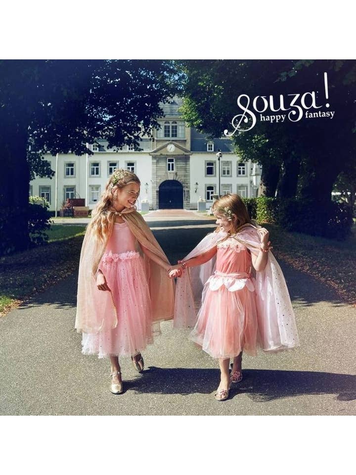 Speedy Monkey - Wholesale Costume - Kids - Rosyanne Fairy Costume-Dress and Wings Set (pink) 2 sizes 3