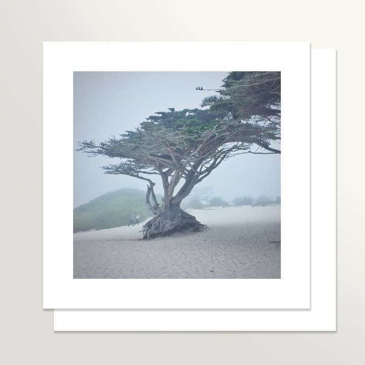 Carmel By the Sea Notecard for wholesale by Springamajig Press