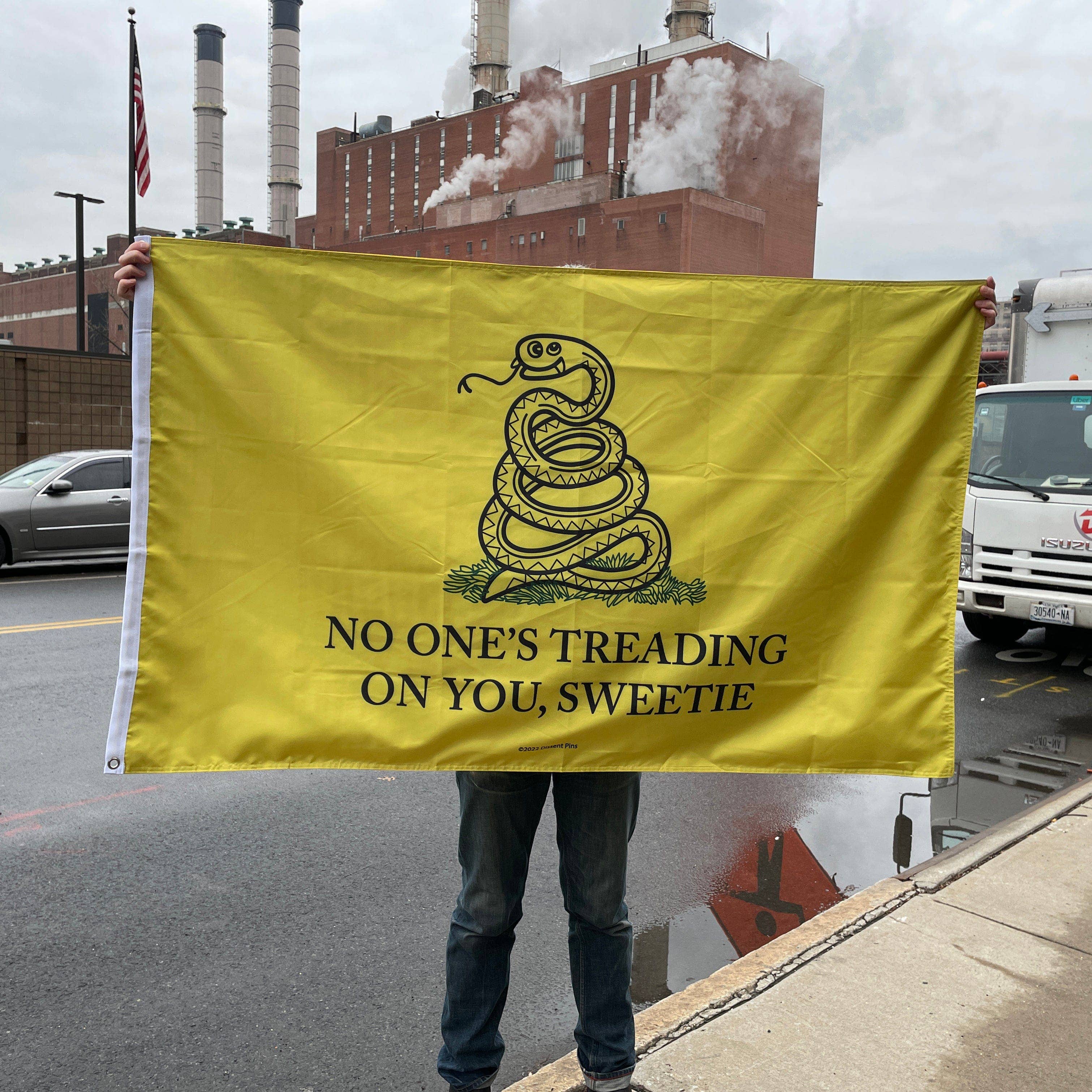 Dissent Pins - Wholesale Flag - No One's Treading On You, Sweetie Flag 3' x 5'4