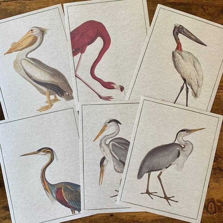 Estampado de pájaros: garza, flamenco, pelícano, hermosa decoración de pared para venta al por mayor de Magnifique Hearts